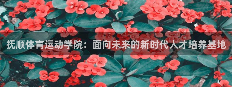 杏耀体育平台登录入口：抚顺体育运动学院：面向未来的新时代人才培养基地