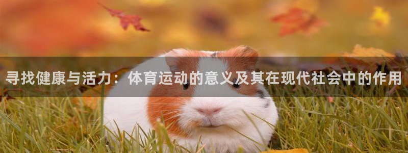 杏耀5注册：寻找健康与活力：体育运动的意义及其在现代社会中的作用