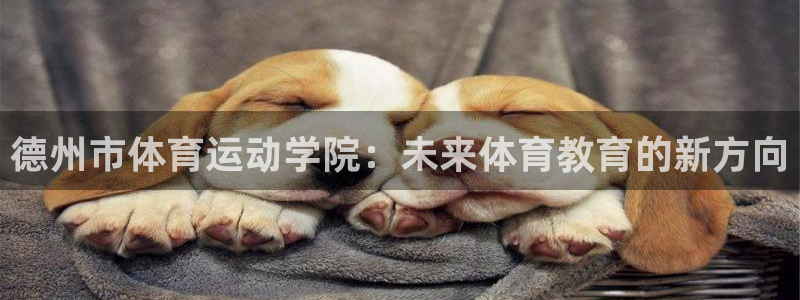 杏耀平台测速：德州市体育运动学院：未来体育教育的新方向