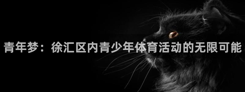 杏耀代理登录中心：青年梦：徐汇区内青少年体育活动的无限可能