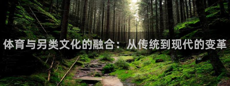 杏耀体育热门赛事有哪些：体育与另类文化的融合：从传统到现代的变革
