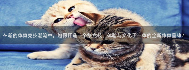 杏耀集团：在新的体育竞技潮流中，如何打造一个集竞技、体验与文化于一体的全新体育品