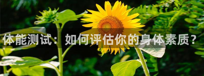 杏耀体育平台开号链接：体能测试：如何评估你的身体素质？