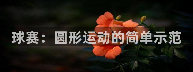 上海杏耀汽车电子有限公司：球赛：圆形运动的简单示范