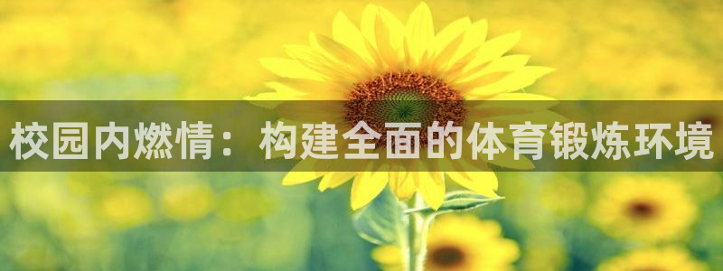 杏耀体育凯捷平台注册：校园内燃情：构建全面的体育锻炼环境