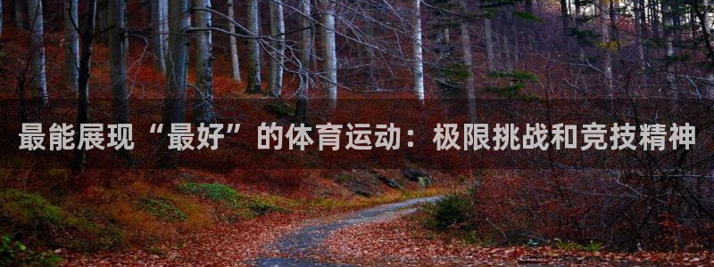 杏耀4平台：最能展现“最好”的体育运动：极限挑战和竞技精神