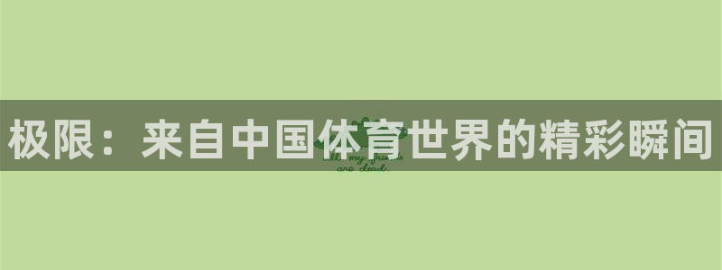 杏耀体育4：极限：来自中国体育世界的精彩瞬间