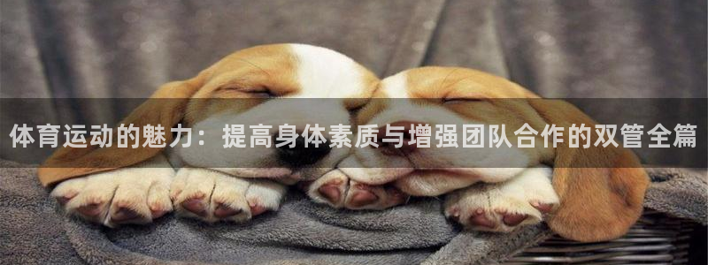 杏耀集团总部：体育运动的魅力：提高身体素质与增强团队合作的双管全篇
